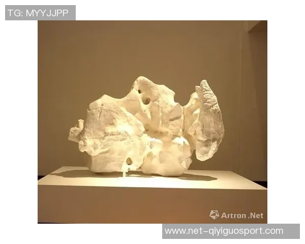 尼古拉武切维奇的艺术旅程与对现代文化的影响探讨